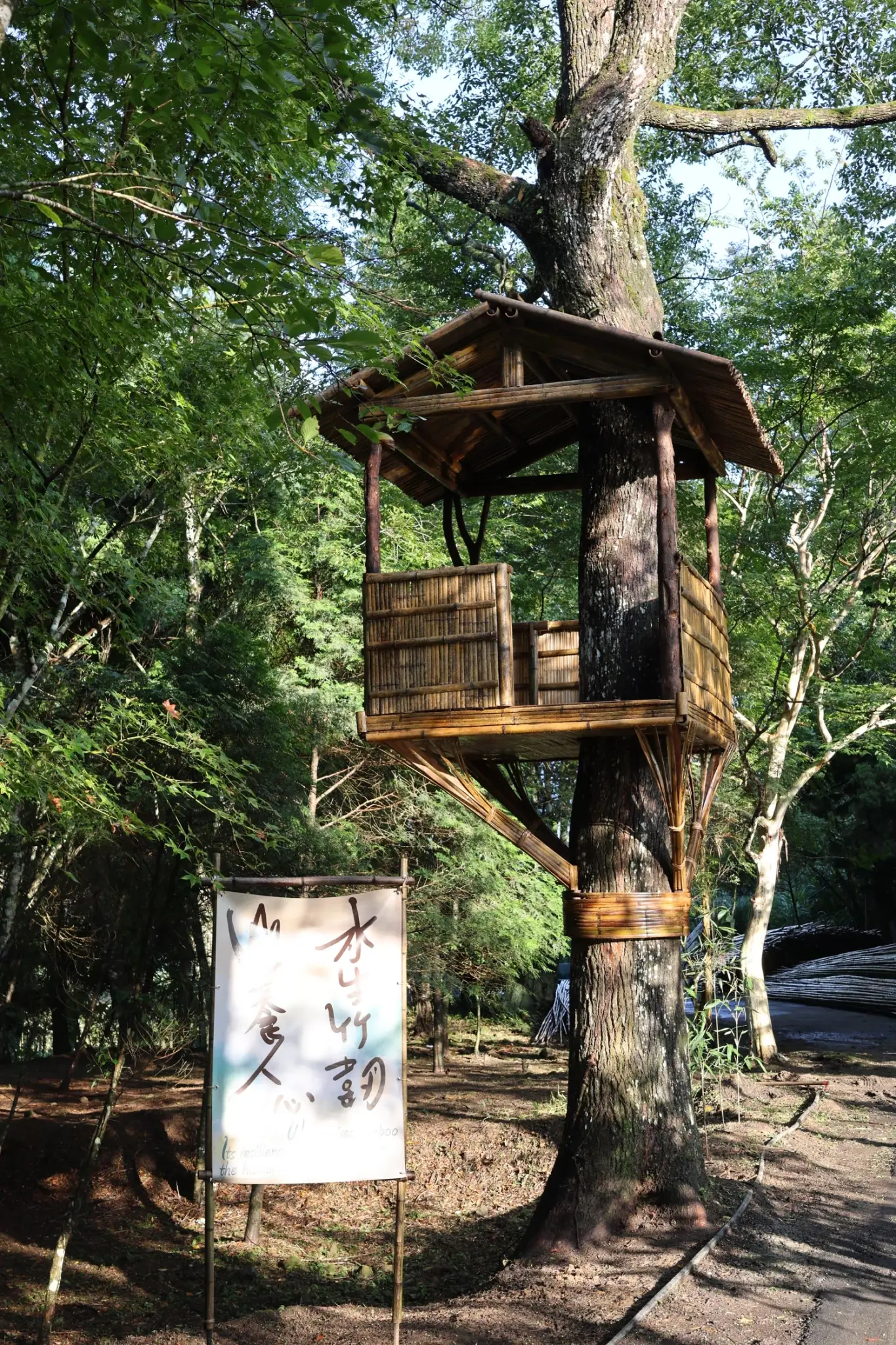 教育部訪視 樹屋與成果海報